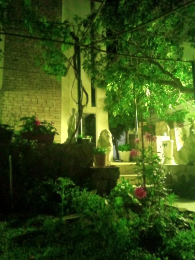 Отели типа «постель и завтрак» Vila Montenegro Сутоморе-36