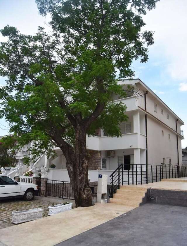 Отели типа «постель и завтрак» Vila Montenegro Сутоморе-21