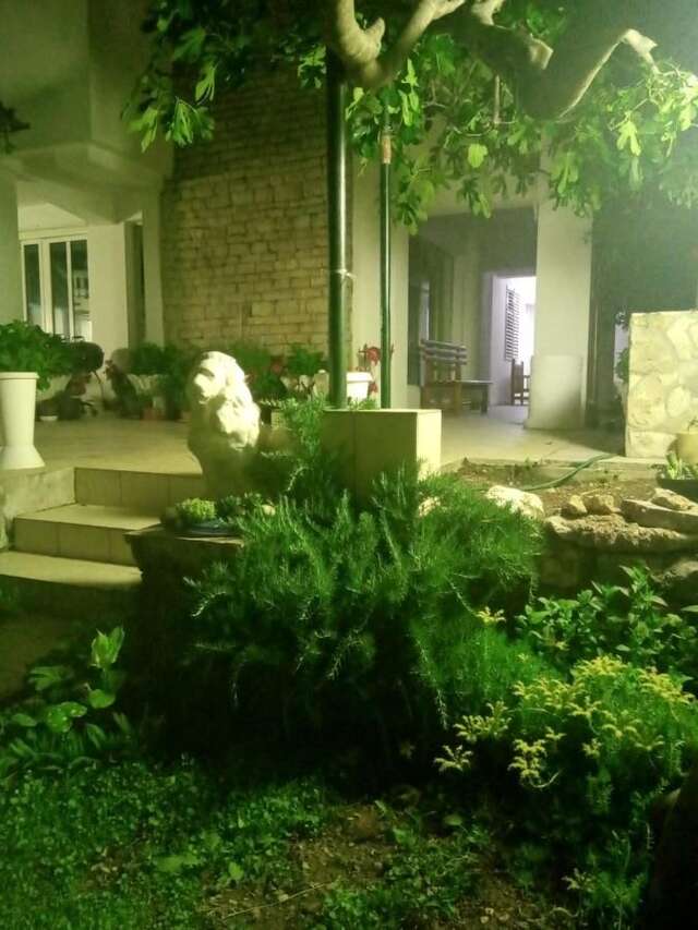 Отели типа «постель и завтрак» Vila Montenegro Сутоморе-34